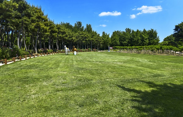 전주 1